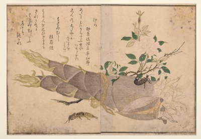 Earwig and mole-cricket, 1788 by Kitagawa Utamaro